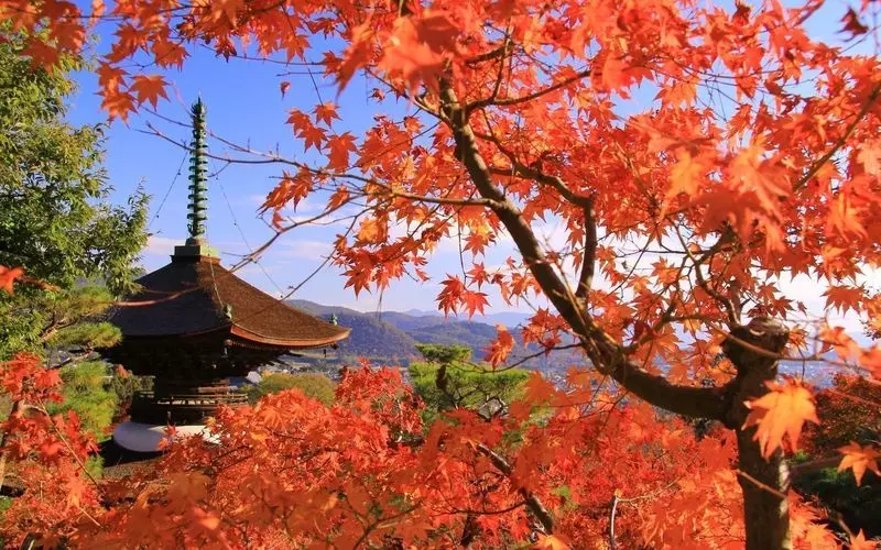展望台から嵐山を一望! 1枚目