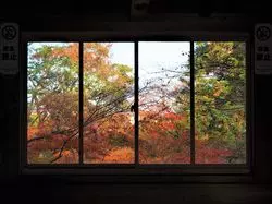 【京都】霧島ツツジだけじゃない！紅葉シーズンも素敵な長岡天満宮◎
