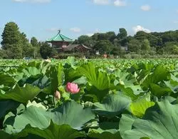 都会の喧騒から離れて。上野で自然と歴史に触れる♪