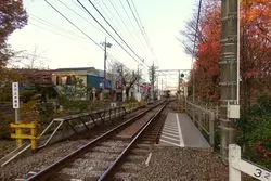 東京で自然を満喫♪玉川上水緑道で秋のお散歩