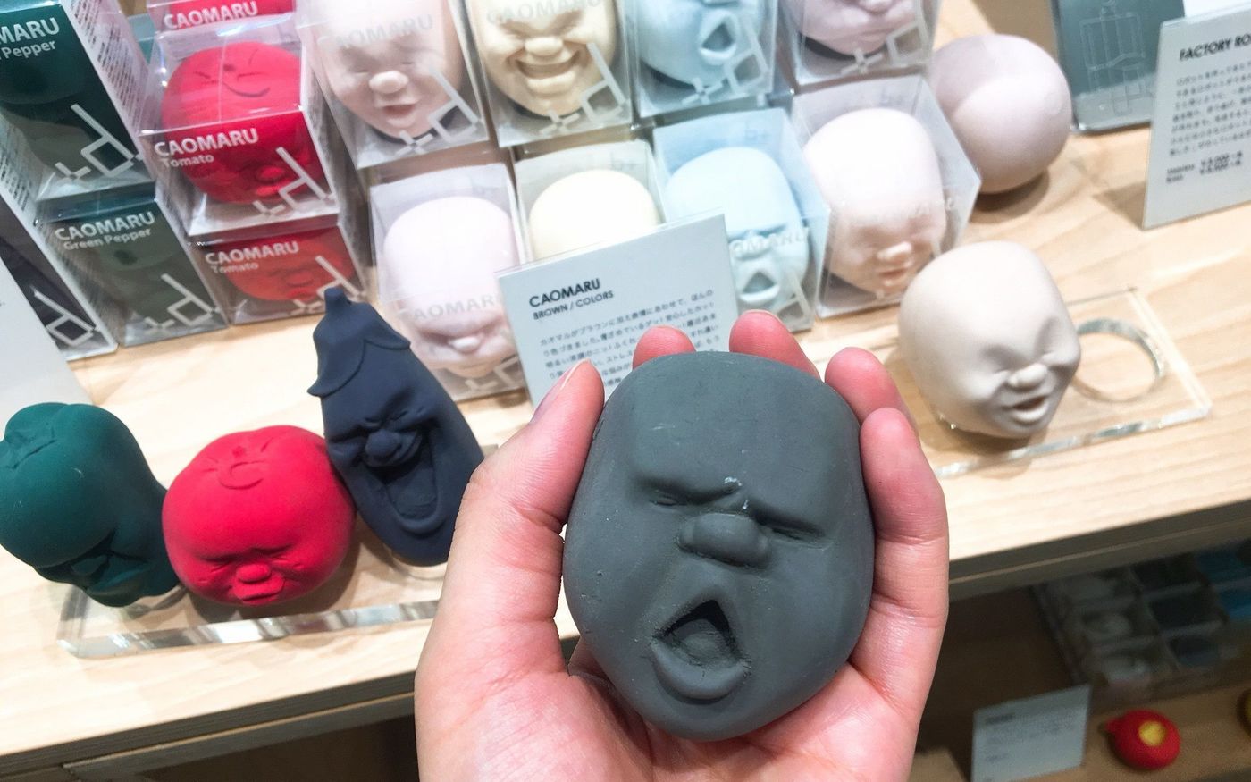 の画像
