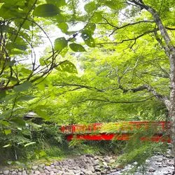 関東の小京都！伊豆の穴場スポットとオススメのホテルをご紹介
