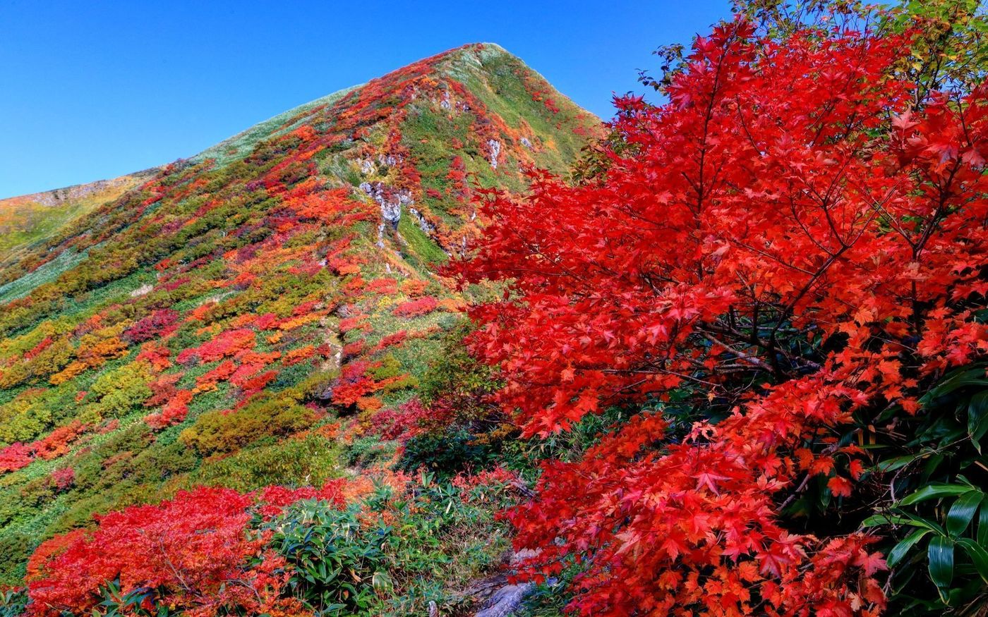 【群馬】水上町周辺の穴場紅葉スポット6選！景勝地で自然を感じようの画像