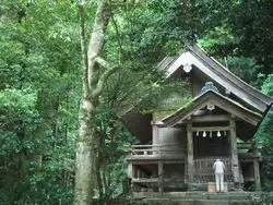 日帰りで回る出雲大社！おすすめツアー☆