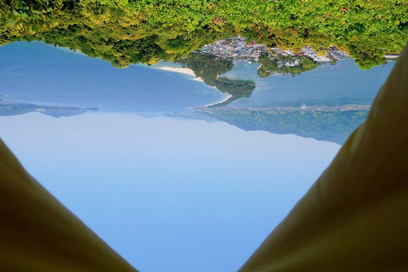 の画像