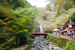 【大阪府】紅葉の季節！迫力満点の箕面大滝で涼もう♪