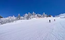 北海道でおすすめのスキー場はここ。文句なしのゲレンデに大満足