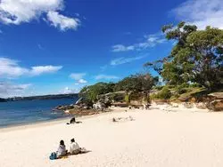 シドニーの閑静な住宅街と綺麗な海！MOSMANで癒されよう♪