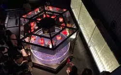 すみだ水族館の「東京金魚ワンダーランド2019」を徹底解剖◎