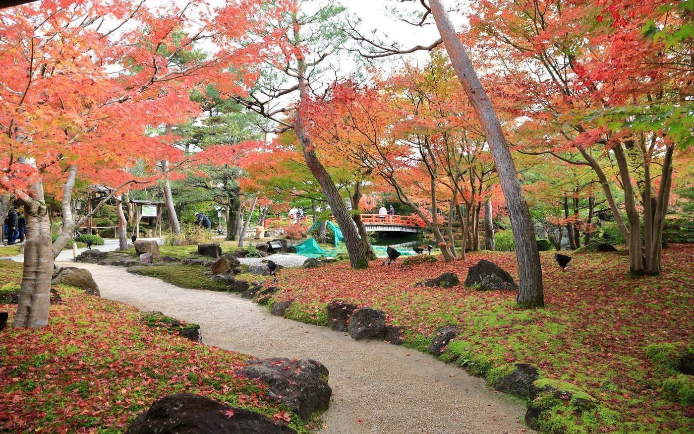 島根県の絶景紅葉スポットを7選紹介！日本庭園など定番から穴場までの画像