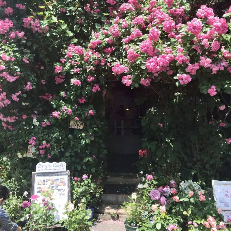 6. 咲き乱れる花々がおしゃれな赤羽のカフェ！ランチにもおすすめな「Ery's Cafe（エリーズカフェ）」 2枚目