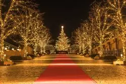 【2024年】関東のクリスマスおすすめスポット18選！イベント情報も掲載