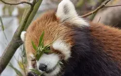 「広島市安佐動物公園」におでかけ！子供とナイトサファリを満喫◎