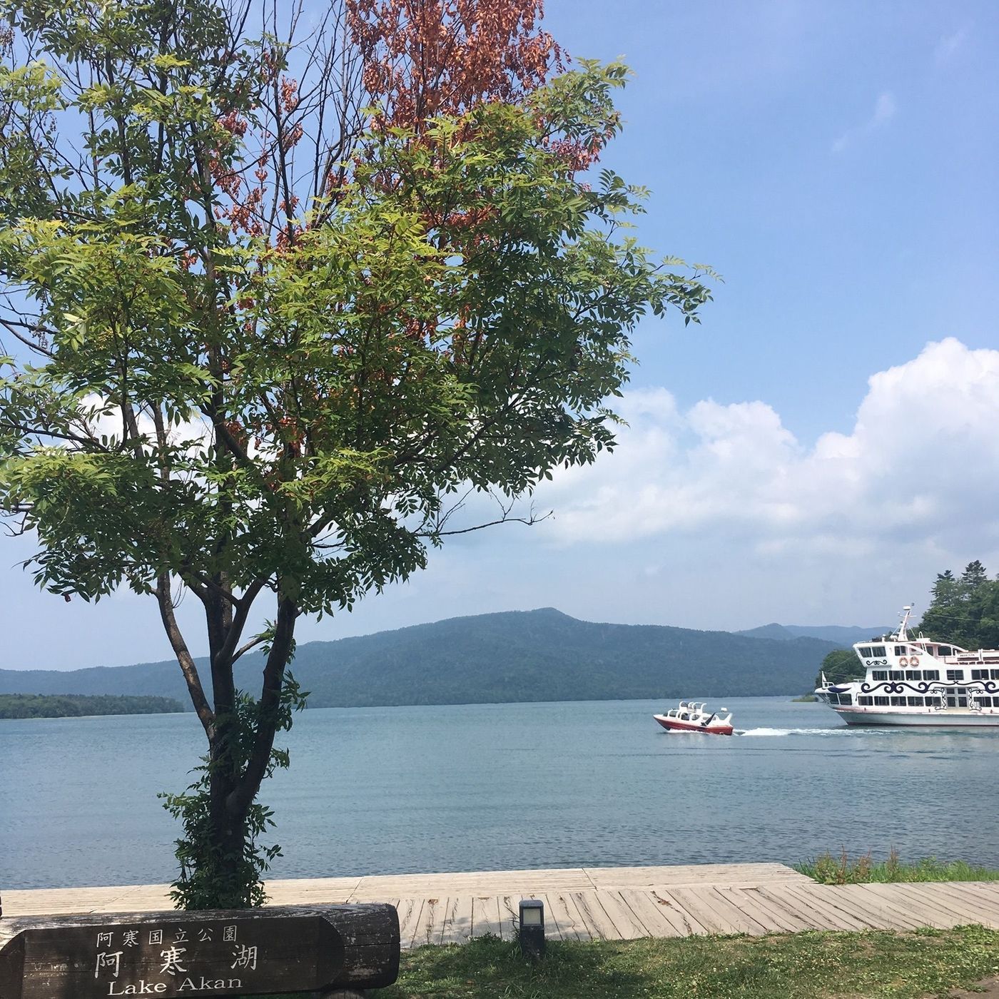の画像