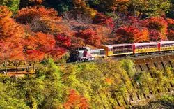 嵐山の紅葉スポット7選！ライトアップや気になる混雑回避方法も紹介