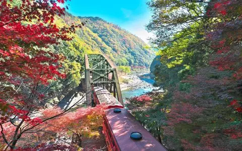 嵐山の紅葉スポット7選 ライトアップや気になる混雑回避方法も紹介 Aumo アウモ