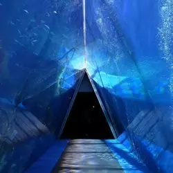 福島の水族館「アクアマリンふくしま」って？見どころを紹介♡