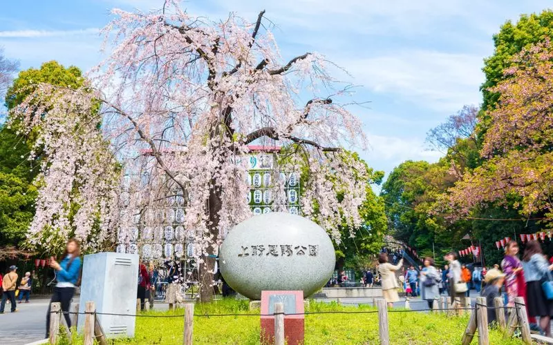5. 動物園から美術館まで!施設がたくさんある都内の大きい公園「上野恩賜公園」 1枚目