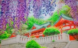 恋人の聖地として人気なパワースポット！？栃木の足利織姫神社
