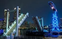 豊洲の夜景は東京屈指！ドライブ・デートにおすすめのスポット8選
