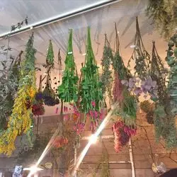 フォトジェニックな癒やし空間♡名古屋のドライフラワー専門店