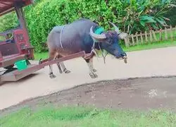 沖縄旅行🌺最終日におすすめプラン🐳