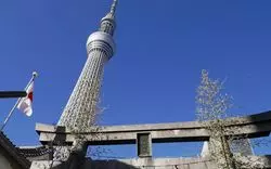 【押上】神社から臨むスカイツリー☆今と昔の技術を刮目せよ！