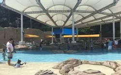 【三重】子供連れにはオススメ♡磯体験ができる「海ほおずき」！