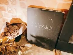 立川・chichicaで体感♡カレーとチャイの魅惑の世界へGO