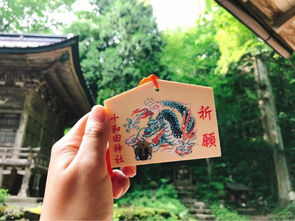 の画像