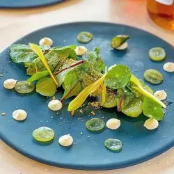 完全予約制！大阪の高級フルーツサロン「FRUIT」