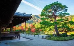 京都で絶景のツーリング旅しない？おすすめ4選紹介！