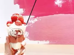 大阪のフォトジェニカフェ♡「Fujifrance」でスイーツを