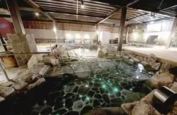 【銭湯好きによる銭湯好きのための記事】「春日井 笑福の湯」ならではの魅力、伝授します。