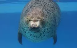 【新札幌の水族館】「サンピアザ水族館」の魅力を徹底解剖！