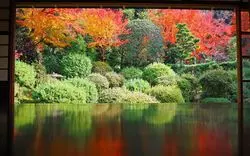 【京都】静寂の中の紅葉♪散り紅葉も美しい安楽寺へ