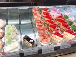 【札幌】まるごとフルーツにこだわりクリーム♪絶品ケーキを堪能