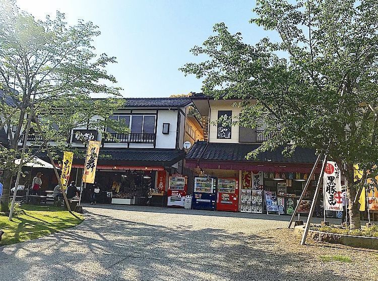 の画像