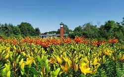 【北海道】メルヘンチックな世界を堪能♡札幌百合が原公園