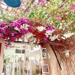アラビアンの世界へ♡ドバイ・バスタキアのおすすめ店！