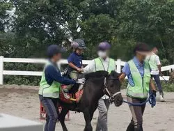 月に1回無料で乗馬体験！横浜の三ツ沢公園馬術練習場が超穴場！