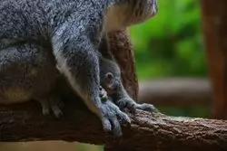 これだけは押さえたい♡「東山動植物園」4つの見所～