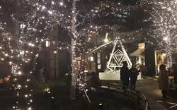 【2019】丸の内でクリスマス♡イルミネーションとディナー特集