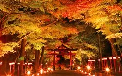 秋の魅力が盛沢山！滋賀でパワースポットや紅葉を楽しもう