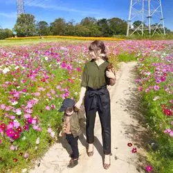 SNS映え×癒しの場♡愛知の一面のコスモス畑と動物たちの牧場