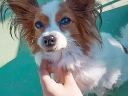 わんちゃん好きにはたまらない！名古屋にあるわんわん動物園♡