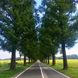 自然を感じられる！休日はカメラを片手に滋賀へドライブへ♪