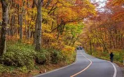 鳥取県の絶景紅葉スポットを厳選！見頃の時期や穴場も紹介！