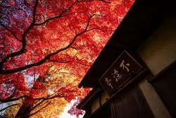 【2021年】川越の紅葉おすすめスポット6選！見頃や観光スポット