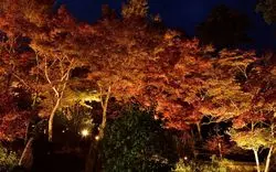 つくば市の紅葉スポットまとめ！名所の「筑波山」と穴場も2選ご紹介